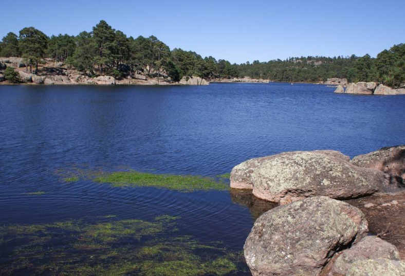 Lago de Arareko paseos en laguna